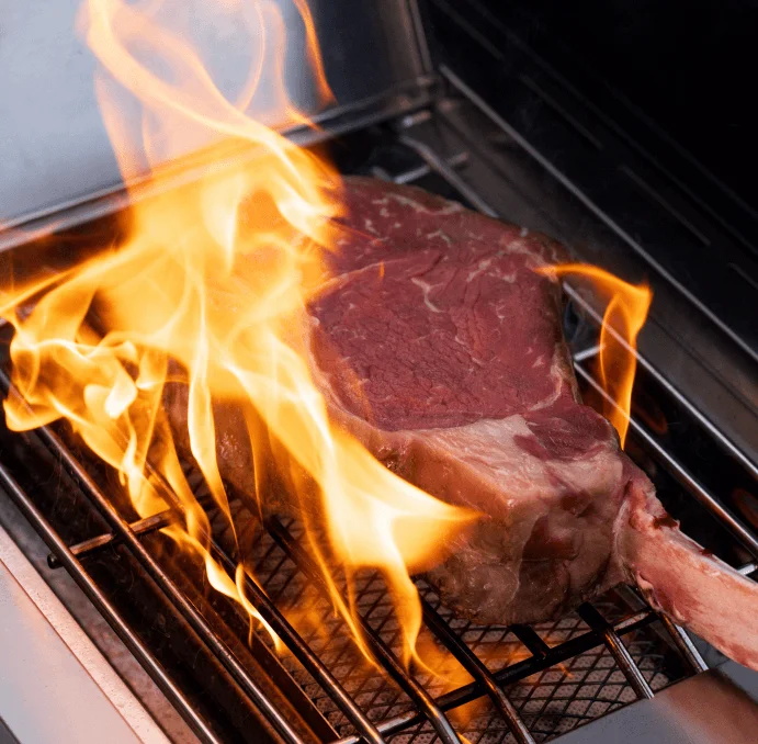o3-1-1.webp Monument Grills Eminence 605 Advanced Stainless Natural/Propane Gas Grills Eminence 605 - Image 2